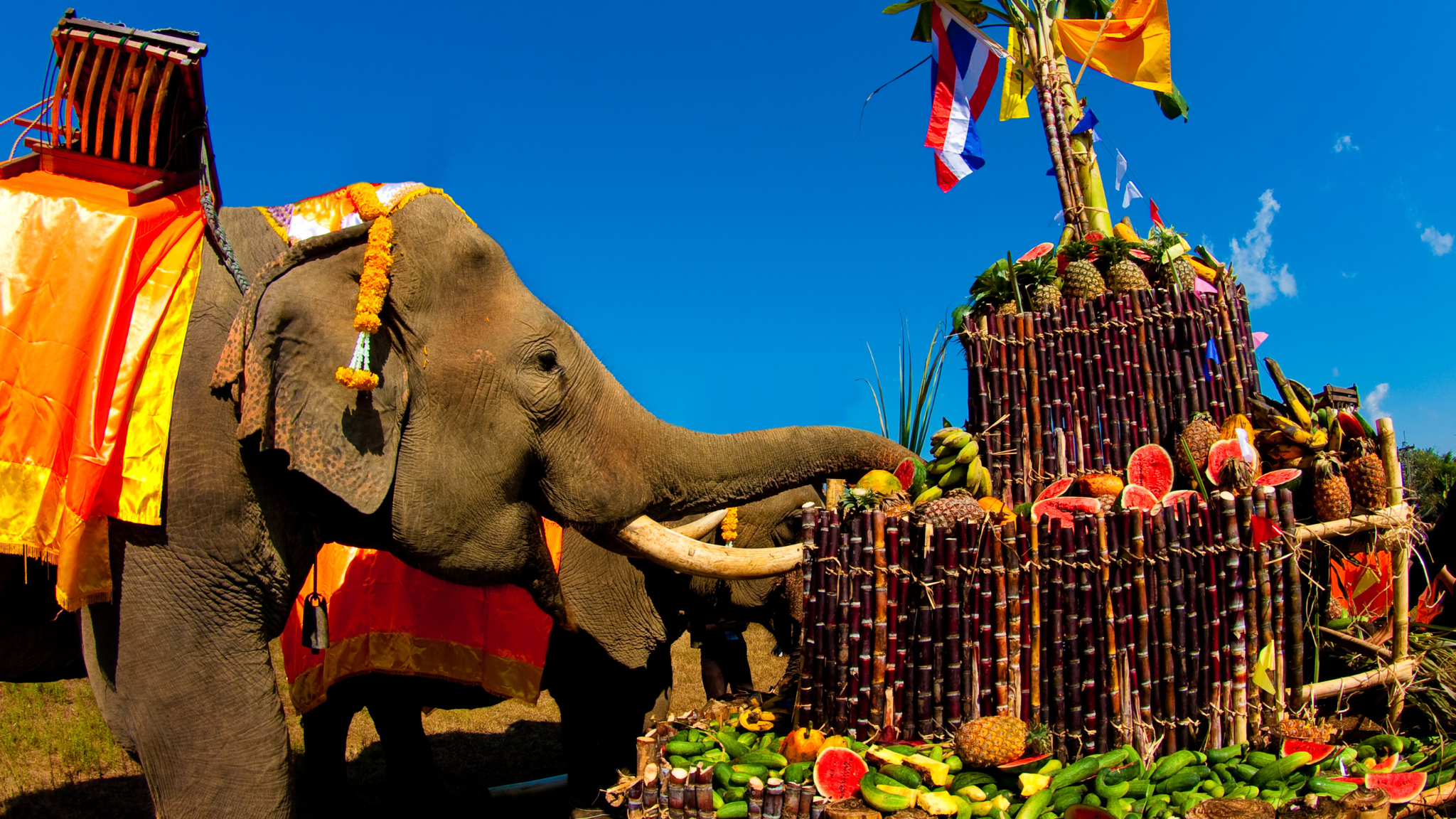 Elephant buffet Festival, Karnchanaburi Province, Thailand